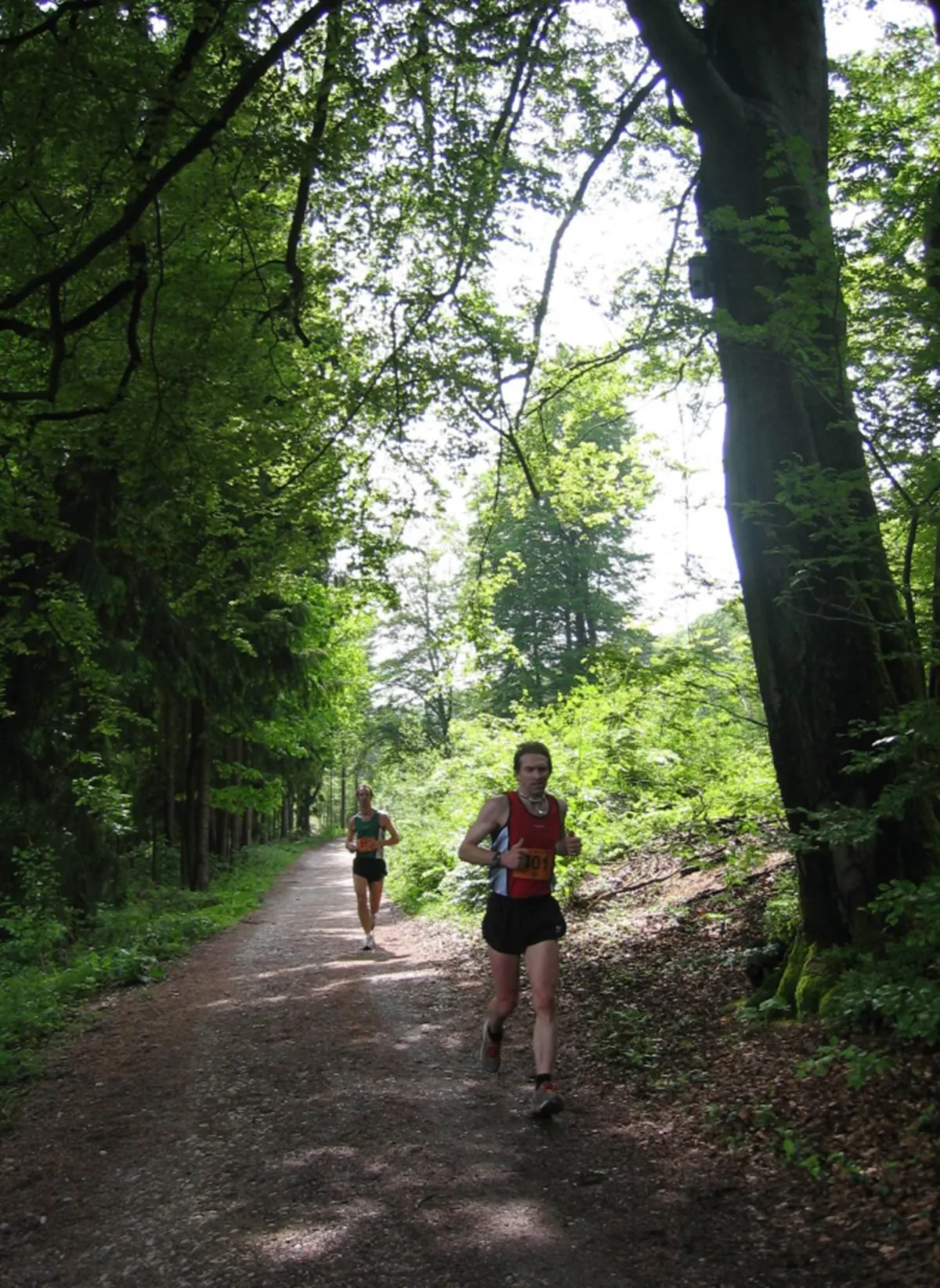 Wer einmal einen Halbmarathon durch Berge und Hochwald laufen will, der findet beim Hörsterberg-VL eine herrliche Naturstrecke, die gleichze