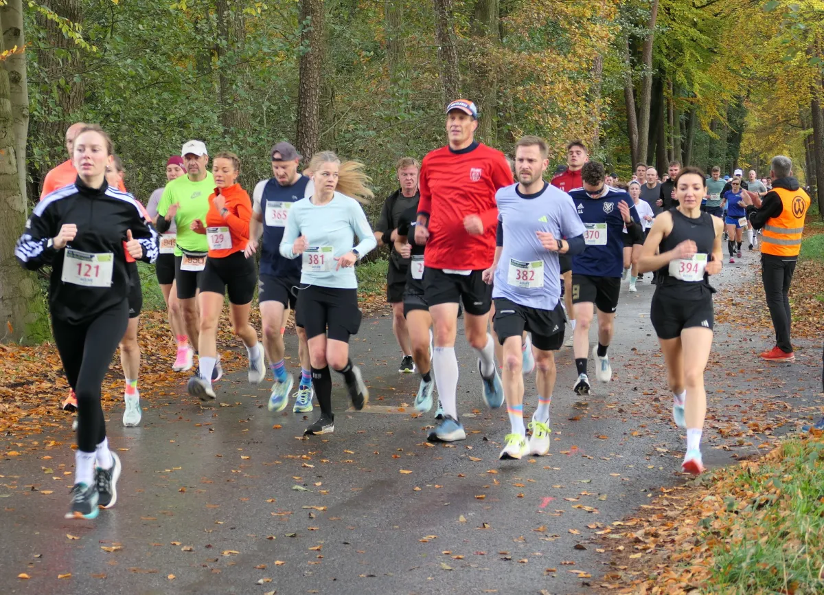 Beim Gütersloher Halbmarathon genießt man das Laufen durch herbstbunte Baumreihen verbunden mit dem Ziel, eine „schnelle Zeit auf schneller 