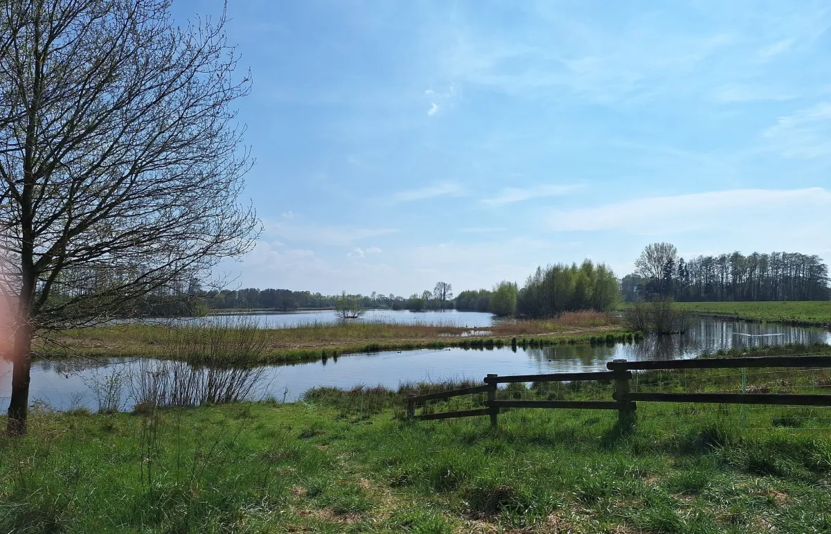 Landschaftserlebnis beim Entlanglaufen am „Steinhorster Becken“ oder fröhliches Traben auf den idyllischen Flachstrecken…wie hier (2025) zwi